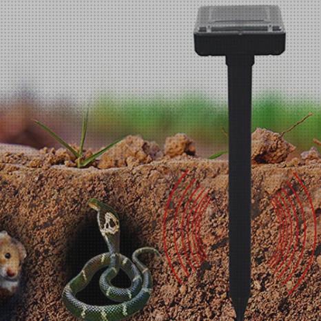 ¿Dónde poder comprar deposito agua animales Más sobre nevera productos termolabiles portátil Más sobre múnchen solar placa solar 300w ahuyentador de animales por ultrasonidos con placa solar?