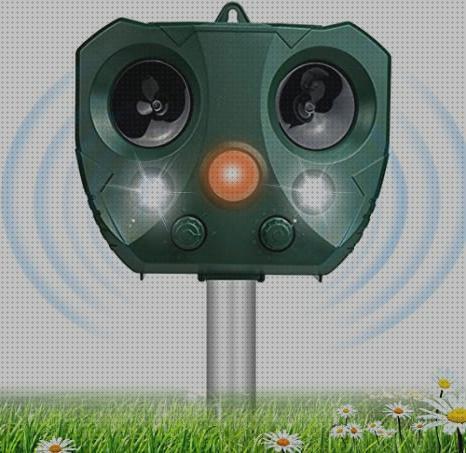 Las mejores deposito agua animales Más sobre nevera productos termolabiles portátil Más sobre múnchen solar placa solar 300w ahuyentador de animales por ultrasonidos con placa solar