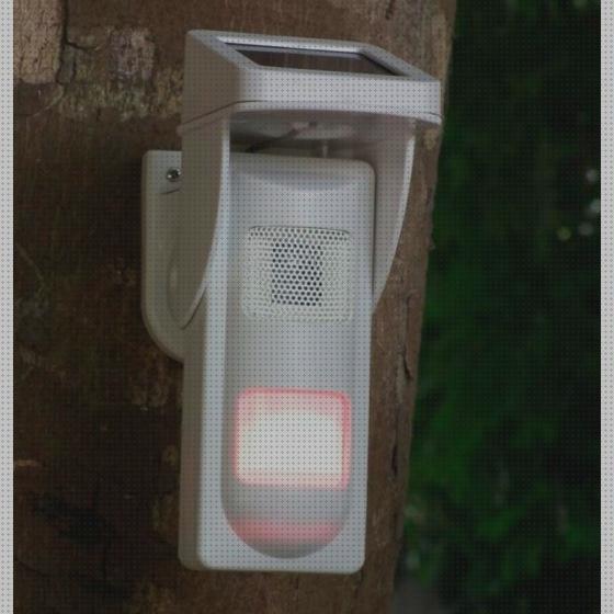 Las mejores marcas de señal espiritual garrafa de agua Más sobre deposito agua caliente media mark Más sobre nevera productos termolabiles portátil alarma sin luz eléctrica con placa solar