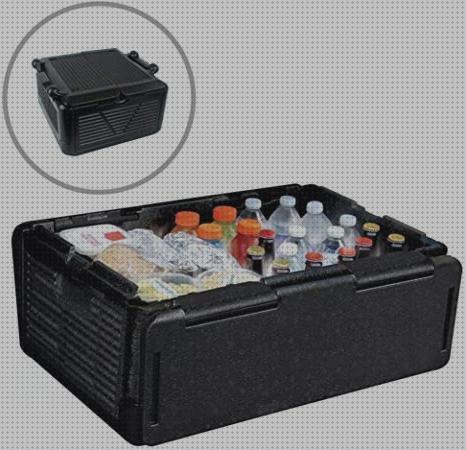 Las mejores deposito agua botellas Más sobre inversor solar 230v botellas hielo nevera portátil