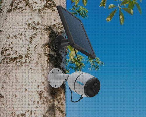 Las mejores Más sobre nevera r600a sin compresor Más sobre feng shui claraboya Más sobre cocina portátil multigas camara vigilancia con placa solar sim