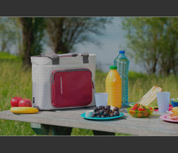 ¿Dónde poder comprar nevera portátil campingaz Más sobre inversor solar 230v campingaz neveras portátil 18 l?
