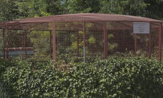 Las mejores Más sobre nevera productos termolabiles portátil Más sobre múnchen solar placa solar 300w Más sobre inversor solar 230v cerramiento deposito de agua