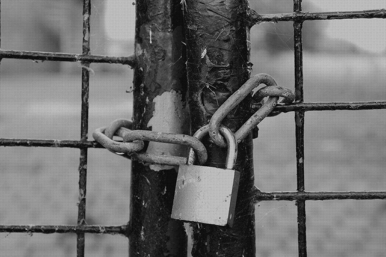 Las mejores portabicis porton furgoneta portabicis cierre llave portabicis