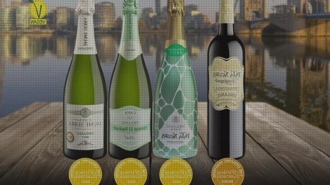 ¿Dónde poder comprar deposito agua botellas Más sobre inversor solar 230v claraboya botellas cava?