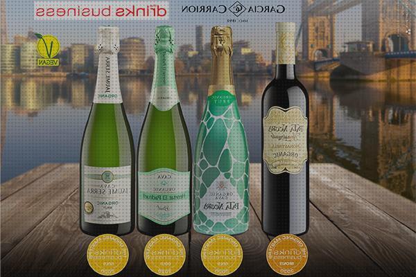 Las mejores marcas de deposito agua botellas Más sobre inversor solar 230v claraboya botellas cava