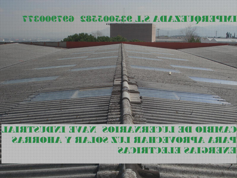 Las mejores marcas de claraboya industrial claraboyas claraboyas naves industriales