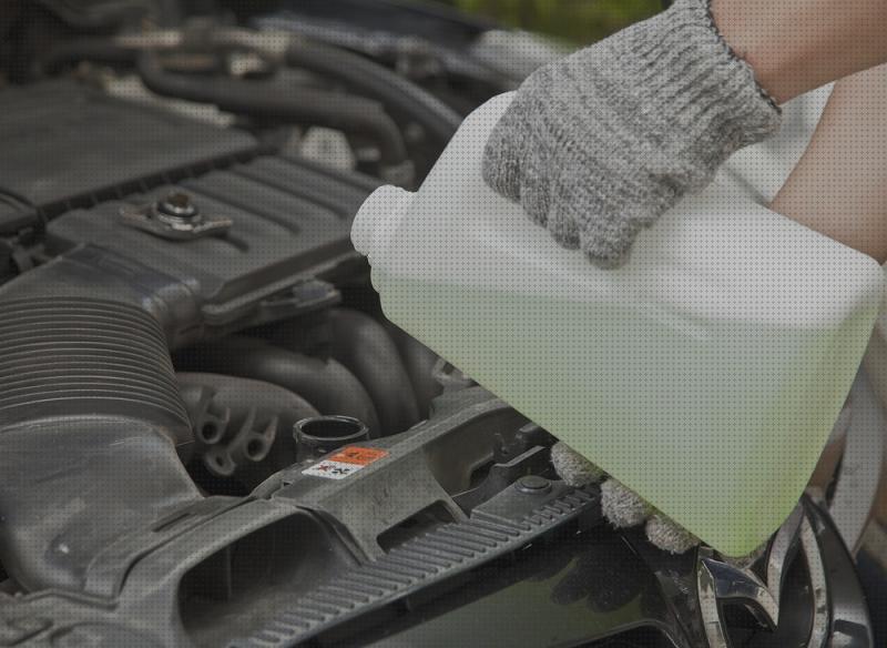 Las mejores marcas de coche deposito agua