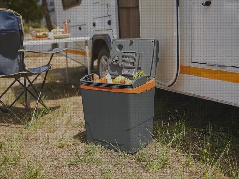 Review de crivit nevera eléctrica portátil