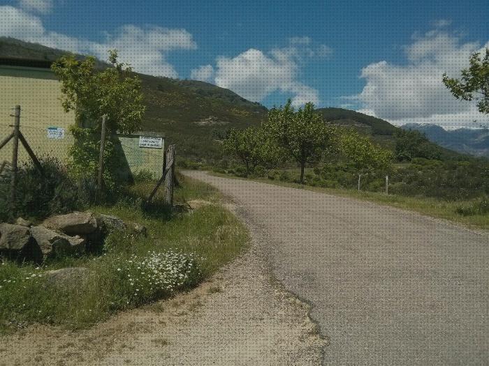 ¿Dónde poder comprar Más sobre nevera productos termolabiles portátil Más sobre múnchen solar placa solar 300w Más sobre inversor solar 230v deposito agua desde arriba?