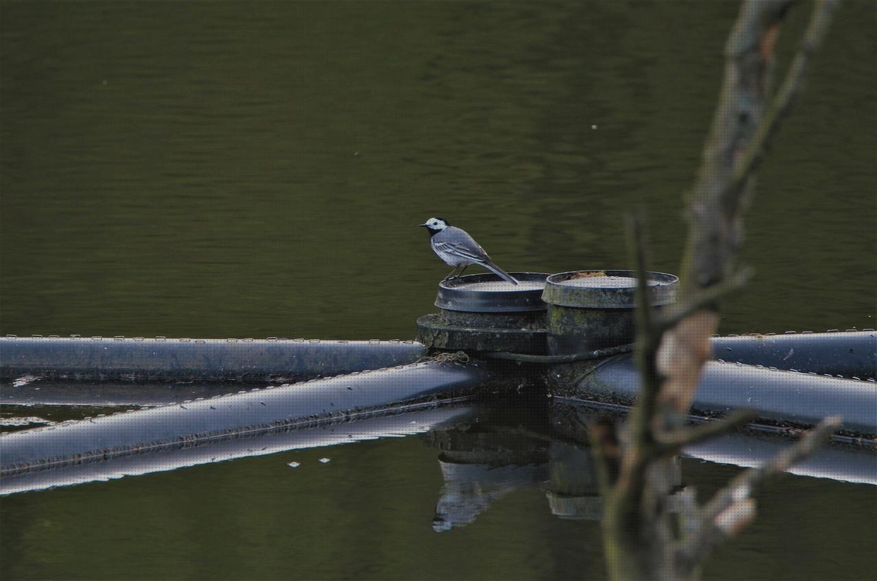 ¿Dónde poder comprar deposito agua animales Más sobre nevera productos termolabiles portátil Más sobre múnchen solar placa solar 300w deposito de agua animales?