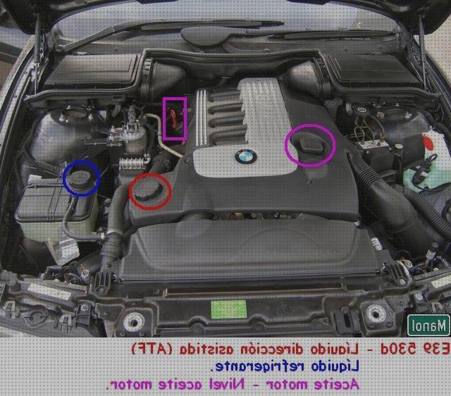 Las mejores deposito agua bmw deposito de agua bmw e39 530d