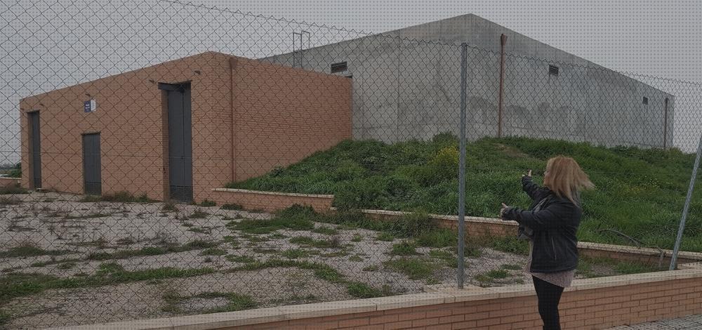¿Dónde poder comprar Más sobre deposito de agua 1k0 955453 Más sobre deposito junto a toma agua Más sobre nevera portátil sovo deposito de agua de carranque?