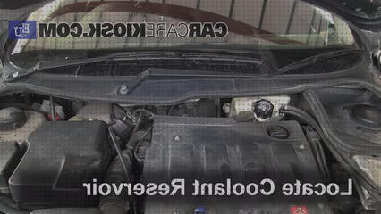 Las mejores deposito agua peugeot 206 deposito de agua peugeot 206 diesel