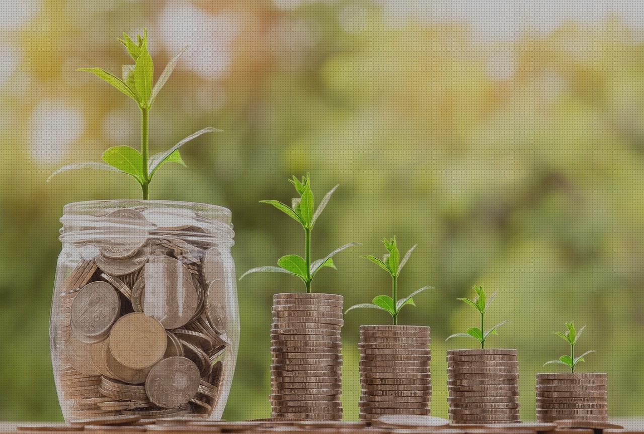 22 Mejores productos para depositos gasoil estrechos para comprar