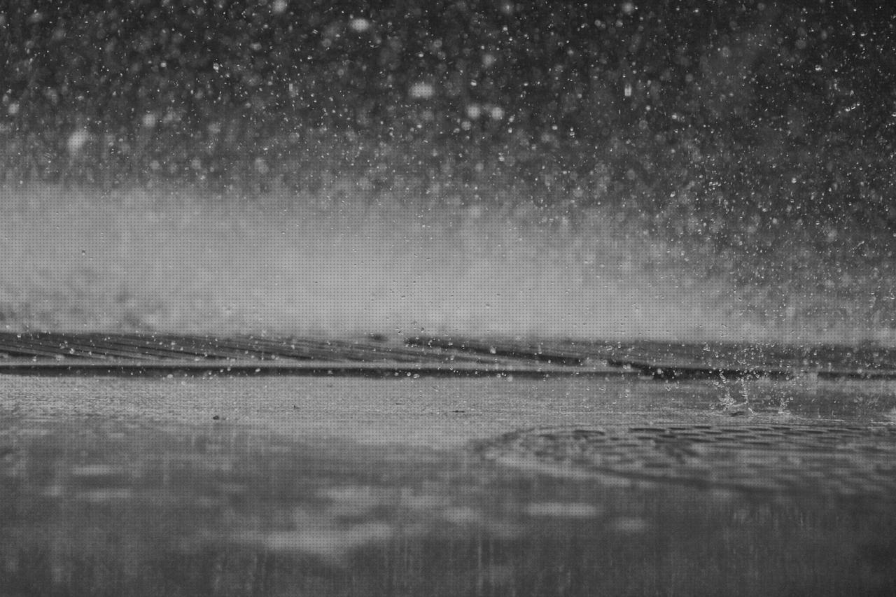 Las mejores marcas de Más sobre nevera 12v rommer deposito agua ducha 12v ducha 12v caravan
