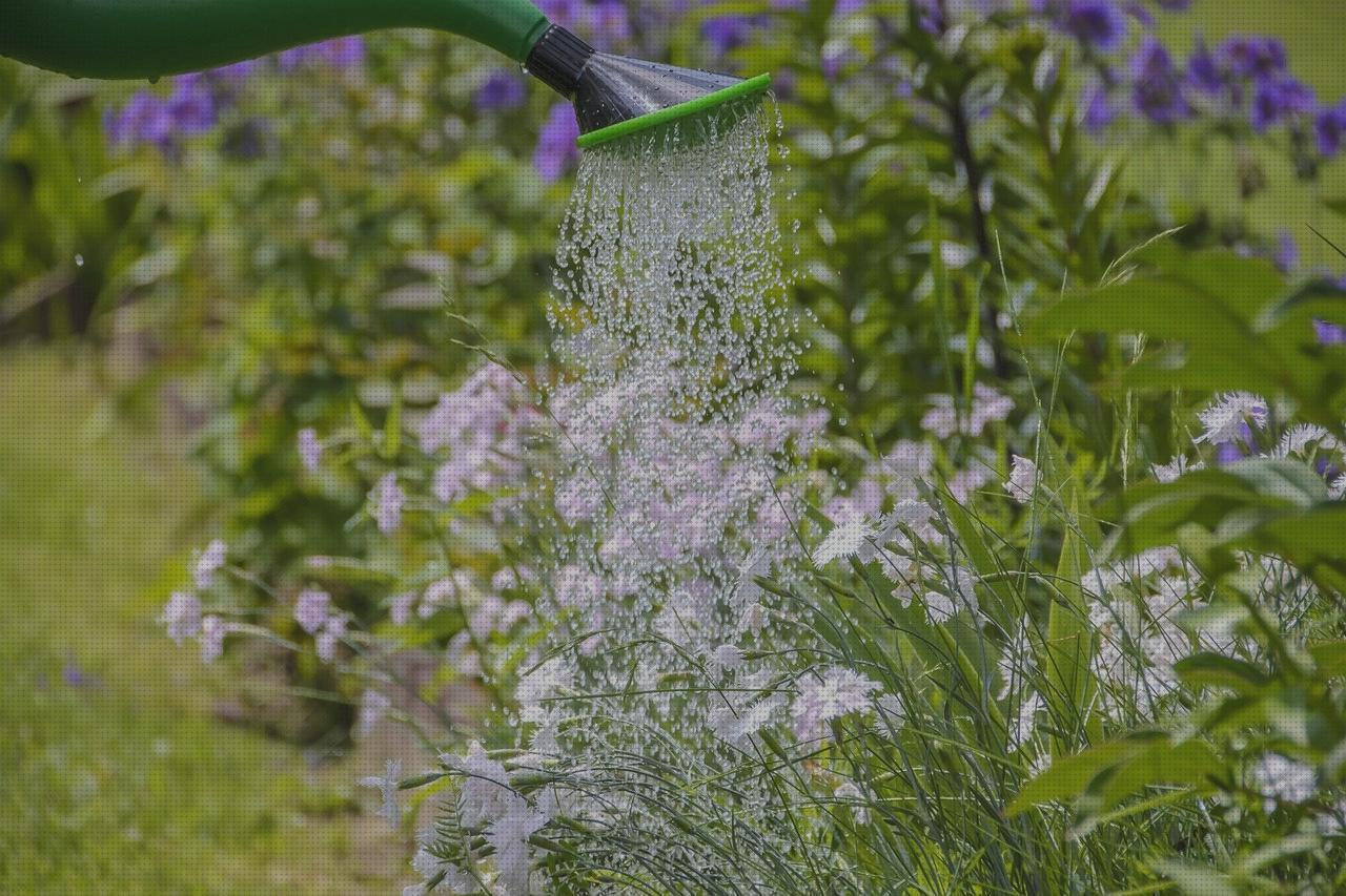 Las mejores deposito agua de madera ducha solar madera