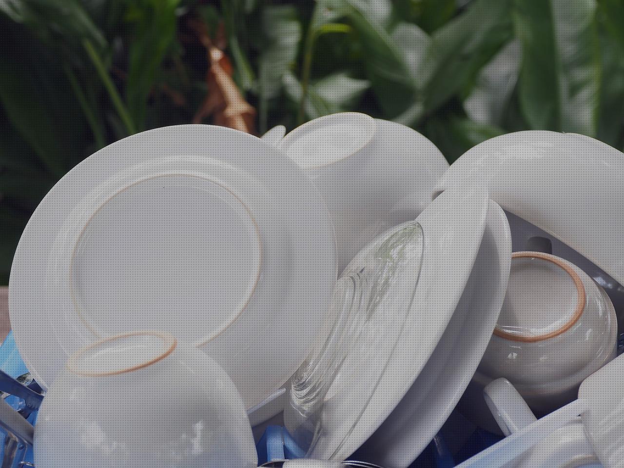 Análisis de los 22 mejores escurreplatos plegables para comprar