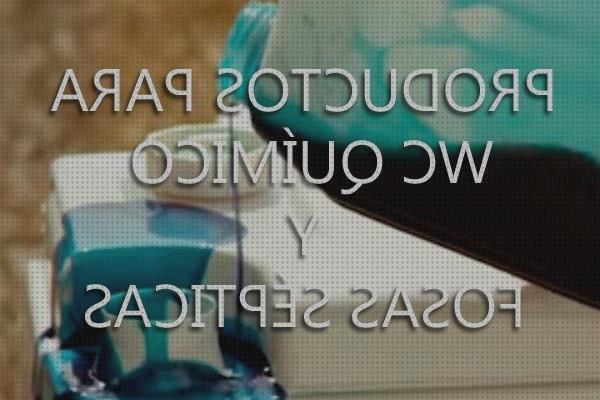 Review de fosa wc quimico