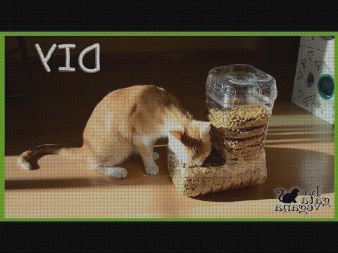 Las mejores deposito agua animales Más sobre nevera productos termolabiles portátil Más sobre múnchen solar placa solar 300w garrafa dispensadora de agua animales