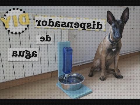 Opiniones de las 26 mejores Garrafas Dispensadora De Aguas Animales