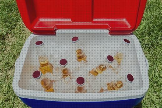 ¿Dónde poder comprar Más sobre nevera portátil de camping hinchable compact 26 l Más sobre deposito agua caliente media mark Más sobre nevera productos termolabiles portátil hielo nevera portátil?