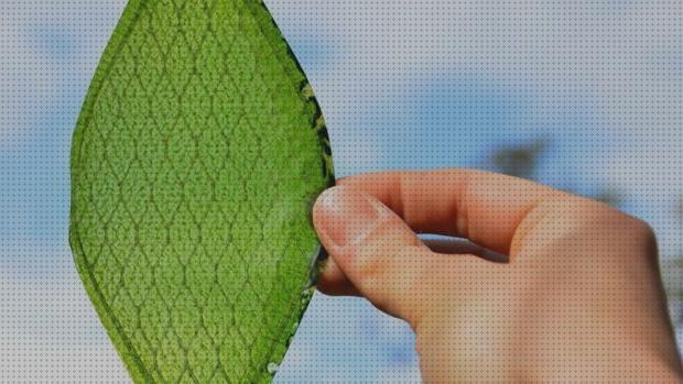 ¿Dónde poder comprar Más sobre deposito agua caliente media mark Más sobre nevera productos termolabiles portátil Más sobre múnchen solar placa solar 300w hoja de placa solar?