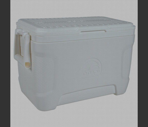Los 21 Mejores Igloo Neveras Portátiles Contour Marines 25