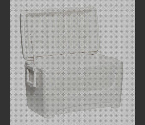 Las mejores nevera igloo portátil Más sobre inversor solar 230v igloo nevera portátil marine 48