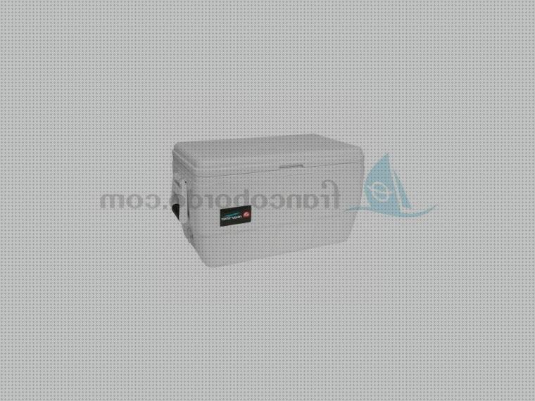 Review de igloo nevera portátil marine 48