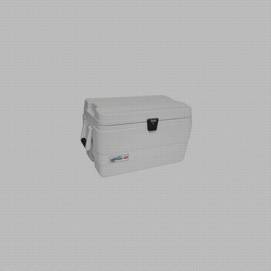 Las mejores nevera igloo portátil Más sobre inversor solar 230v igloo nevera portátil marine ultra 54