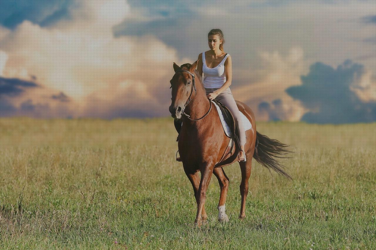 TOP 14 jockey caravanas