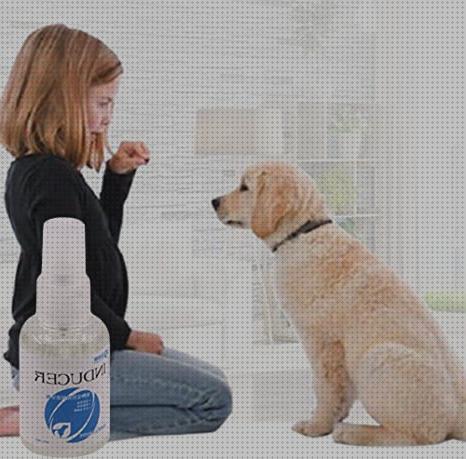 Review de líquido potty