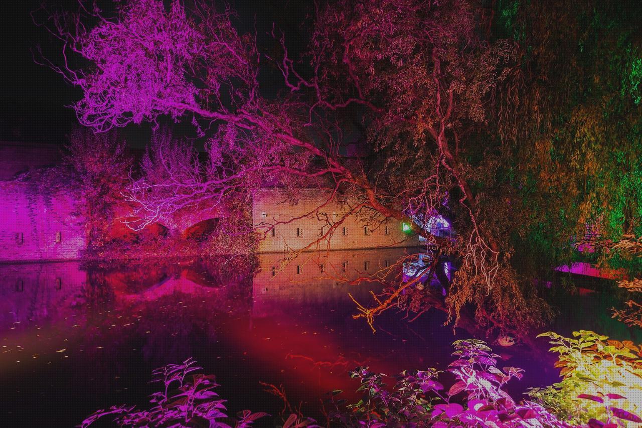Las 15 Mejores Luces Led De Aguas