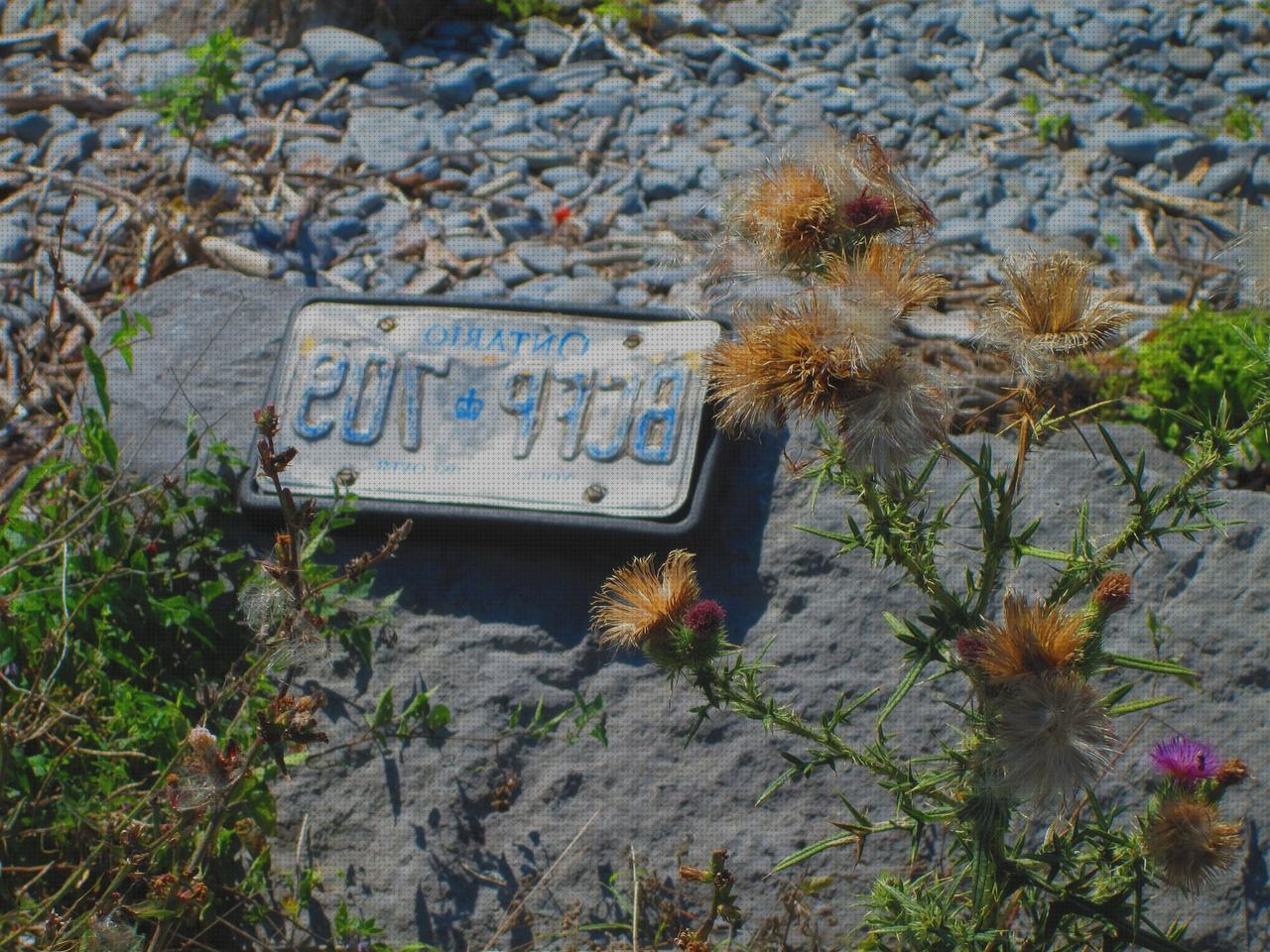 Las mejores marcas de deposito agua luces luz exterior placa solar pared