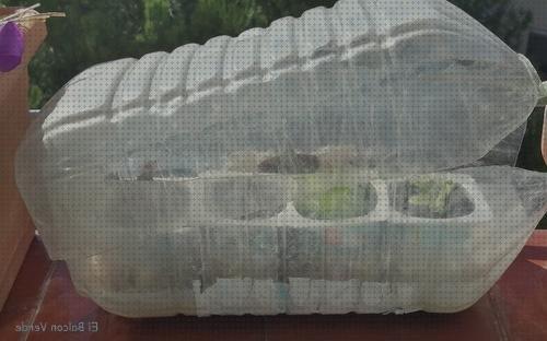 Las mejores arcilla macetas deposito agua Más sobre nevera productos termolabiles portátil Más sobre múnchen solar placa solar 300w maceta invernadero garrafa agua