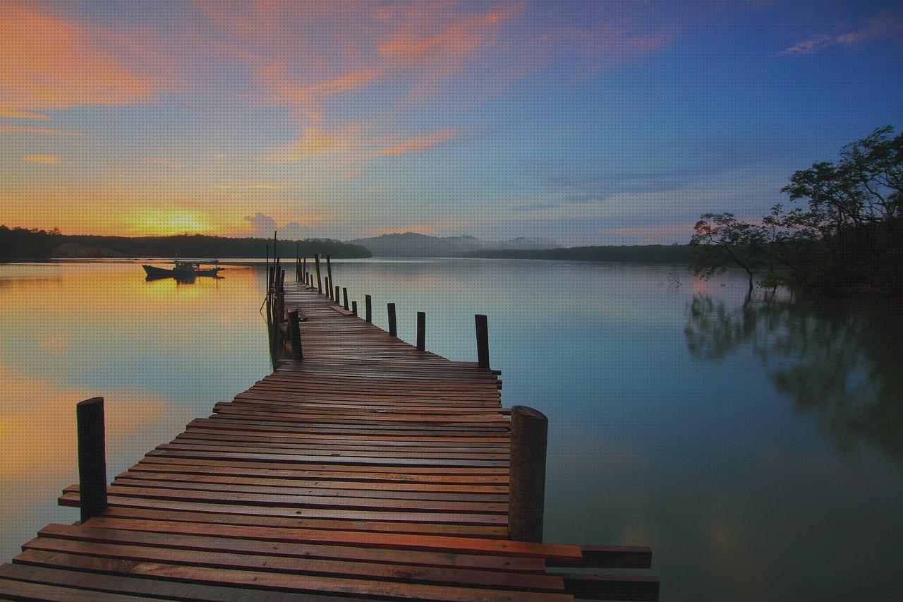 Las mejores marcas de portabicis furgoneta renault trafic portabicis muelles neumaticos renault trafic portabicis