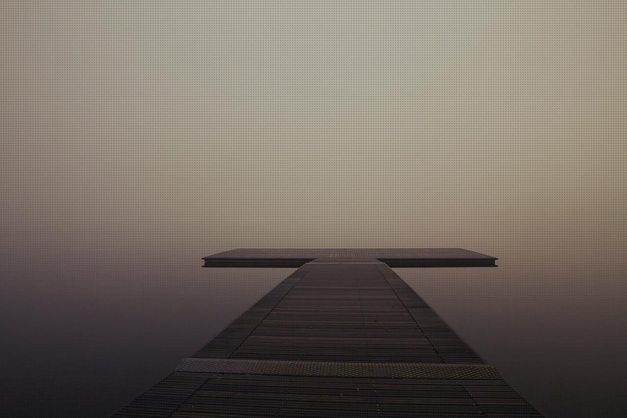 Análisis de los 8 mejores Muelles Neumaticos Renault Trafic Portabicis