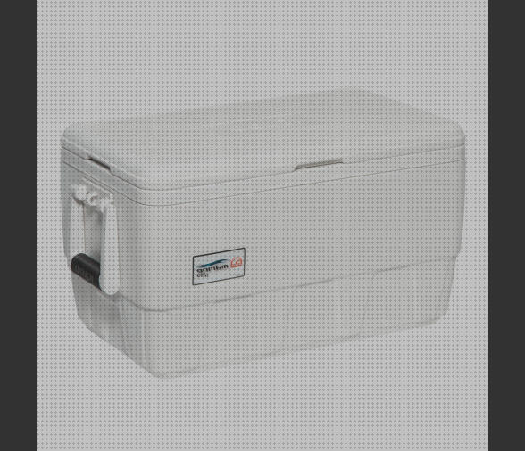 Las mejores marcas de nevera igloo portátil Más sobre inversor solar 230v nevera de hielo portátil igloo marine ultra 36