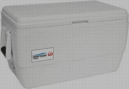 Las mejores marcas de nevera igloo portátil Más sobre inversor solar 230v nevera de hielo portátil igloo marine ultra 48