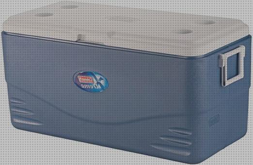 Opiniones de las 32 mejores Neveras Portátiles 100 Litros