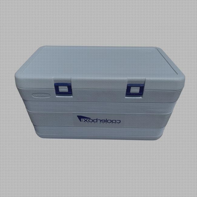 ¿Dónde poder comprar deposito 100l agua Más sobre nevera productos termolabiles portátil Más sobre múnchen solar placa solar 300w nevera portátil 100l?