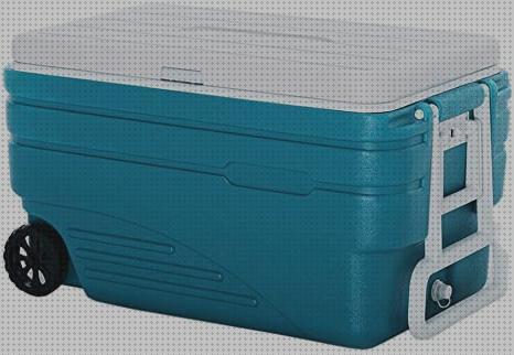 Las mejores 24 Neveras Portátiles 100l