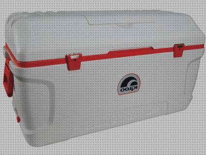 Review de nevera portátil 120 litros