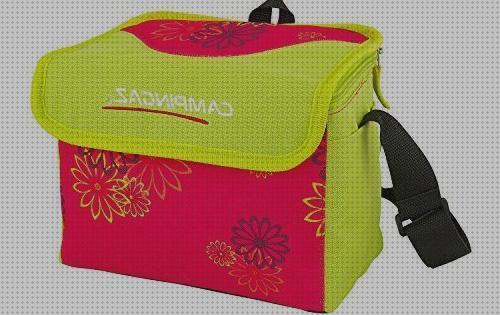 Review de nevera portátil 4 litros domo