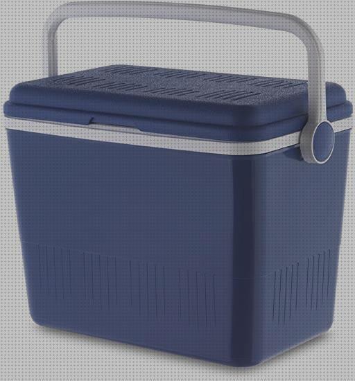 Review de nevera portátil 42 litros