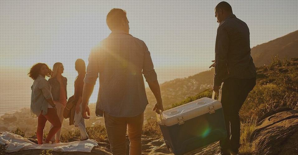 ¿Dónde poder comprar nevera portátil top Más sobre nevera productos termolabiles portátil Más sobre múnchen solar placa solar 300w nevera portátil a top?