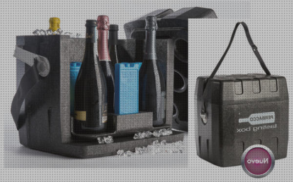 Las mejores 20 Neveras Portátiles Botellines