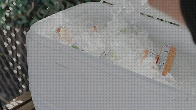 Review de nevera portátil buena hielo