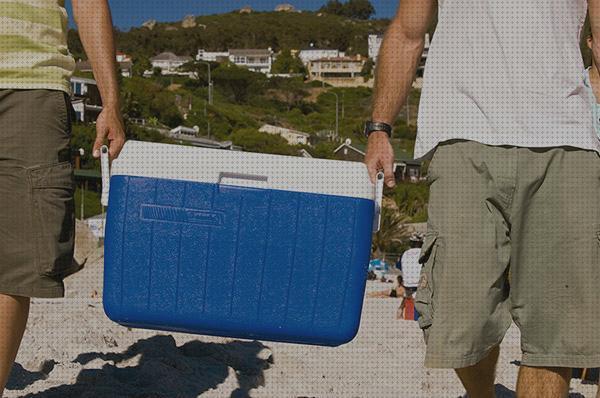 Las mejores nevera portátil camping nevera portátil furgo nevera deposito agua nevera portátil camping con desague